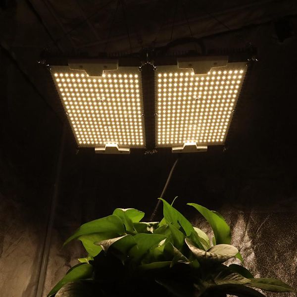 grow lights kingbrite ip65 waterproof 240w double heatsink samsung lm301h 3500k/3000k led light for seed starting and bloom
grow lights kingbrite ip65 waterproof 240w double heatsink samsung lm301h 3500k/3000k led light for seed starting and bloom