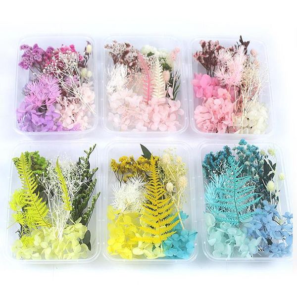 decorative flowers & wreaths 1 set colourful real dried flower dry plants for candle epoxy resin pendant festival party decorat 
decorative flowers & wreaths 1 set colourful real dried flower dry plants for candle epoxy resin pendant festival party decorat