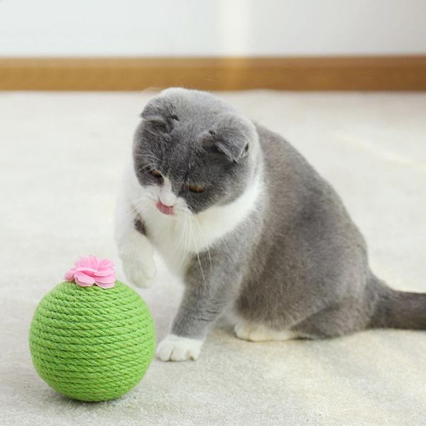 cat toys pet accessories catnip toy scratching ball cactus sisal tumbler kitten cats interactive with catnips supplies
cat toys pet accessories catnip toy scratching ball cactus sisal tumbler kitten cats interactive with catnips supplies