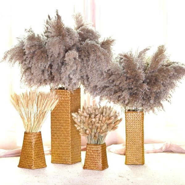 pcs 20pcs real dried pampas grass decor wedding flower bunch natural plants home diy flowers decorative & wreaths
pcs 20pcs real dried pampas grass decor wedding flower bunch natural plants home diy flowers decorative & wreaths