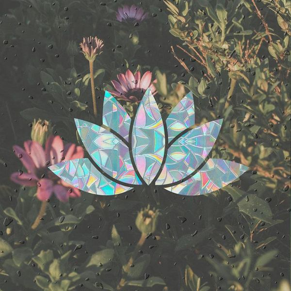 window stickers 1pcs lotus decor film electrostatic glass sticker rainbow prism decals living room bathroom balcony decoration
window stickers 1pcs lotus decor film electrostatic glass sticker rainbow prism decals living room bathroom balcony decoration