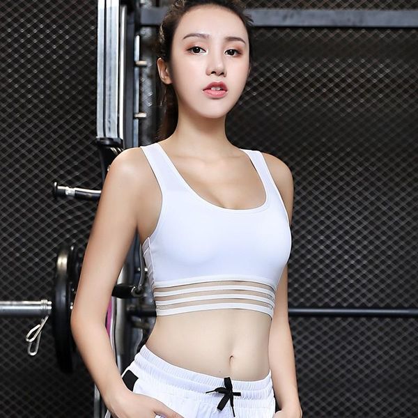 yoga bra sports vest women's high-strength shockproof running without steel ring gather fitness outfit
yoga bra sports vest women's high-strength shockproof running without steel ring gather fitness outfit