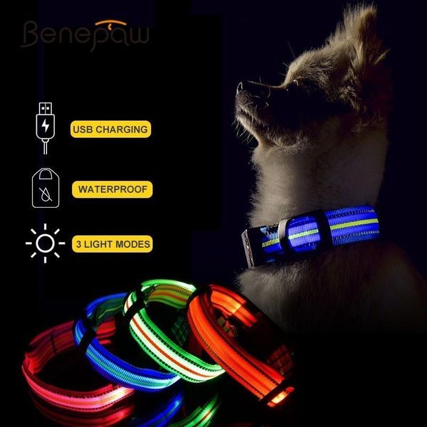 benepaw comfortable usb rechargeable glowing led dog collar durable waterproof pet luminous small big collars 3 light modes & leashes
benepaw comfortable usb rechargeable glowing led dog collar durable waterproof pet luminous small big collars 3 light modes & leashes