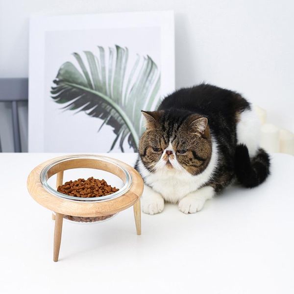 adjustable raised pet glass bowl with wooden stand for cat and dog no spill water feeding bowls dag-ship & feeders