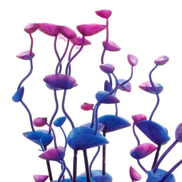 aquarium artificial water aquatic grass plant plastic fish tank landscape decor lx9c decorations
aquarium artificial water aquatic grass plant plastic fish tank landscape decor lx9c decorations