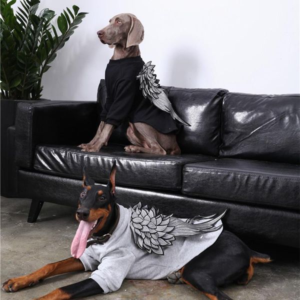 large dog clothes autumn and winter golden retriever labrador doberman mid-large accessories apparel
large dog clothes autumn and winter golden retriever labrador doberman mid-large accessories apparel