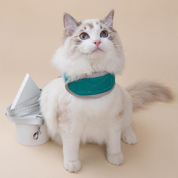 cat collars & leads lovely clothes dog leash nylon pet for running or training collar harness pechincha correa perro szelki dla psa
cat collars & leads lovely clothes dog leash nylon pet for running or training collar harness pechincha correa perro szelki dla psa