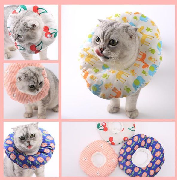 cat collars & leads pack collar elizabeth soft dacron sponge filling protective recovery pet cone
cat collars & leads pack collar elizabeth soft dacron sponge filling protective recovery pet cone