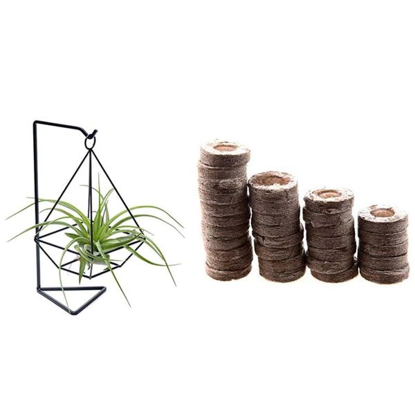 pcs air plant holder, terrarium, stand & 200 peat pellets starting soil block planters pots
pcs air plant holder, terrarium, stand & 200 peat pellets starting soil block planters pots