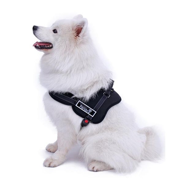 dog collars & leashes luxury large harness pet adjustable big size for puppy safe leads product 3 colors
dog collars & leashes luxury large harness pet adjustable big size for puppy safe leads product 3 colors