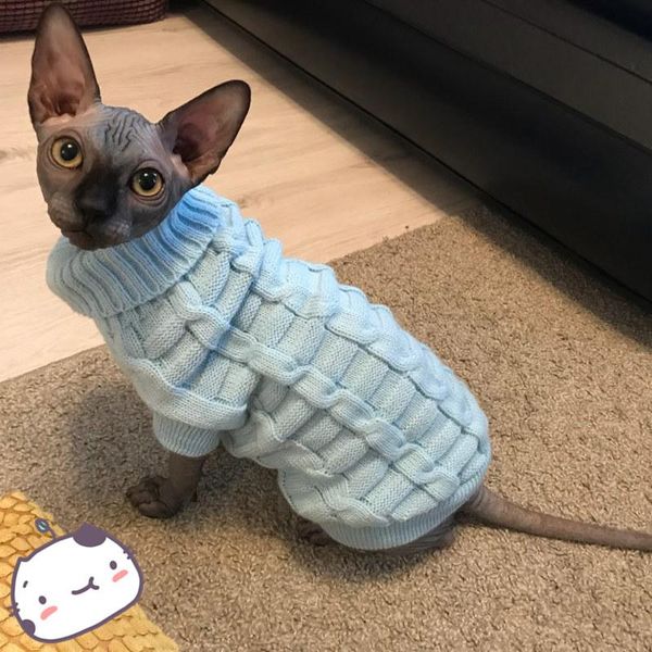 pet cat clothes winter warm cotton knitted sweater costumes coat jacket dog clothing for small cats
pet cat clothes winter warm cotton knitted sweater costumes coat jacket dog clothing for small cats