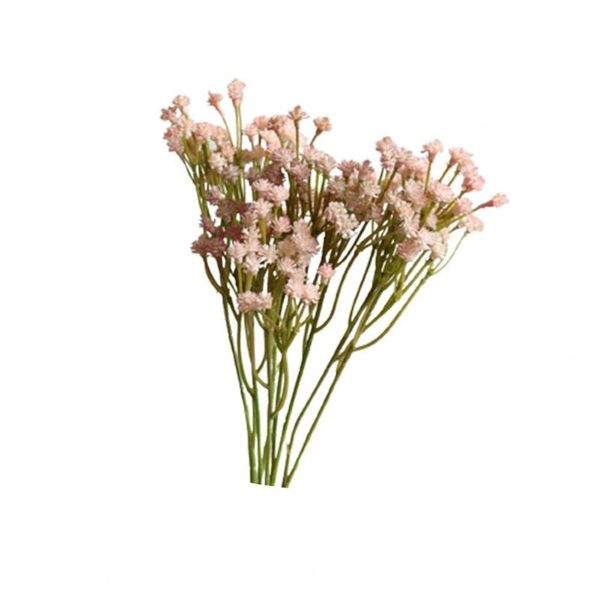 plastic gypsophila flower well made real touch clear texture durable colorful not fade realistic artificial decor decorative flowers & wreat
plastic gypsophila flower well made real touch clear texture durable colorful not fade realistic artificial decor decorative flowers & wreat