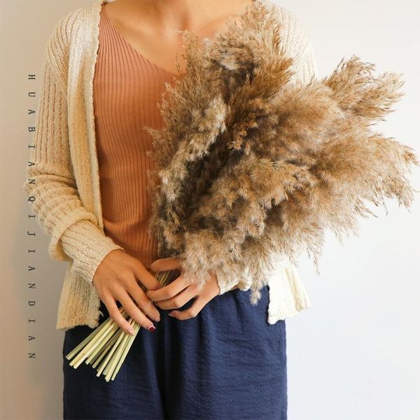 decorative flowers & wreaths dried pampas grass decor wedding flower bunch natural plants for home christmas decorations 2021 office
decorative flowers & wreaths dried pampas grass decor wedding flower bunch natural plants for home christmas decorations 2021 office