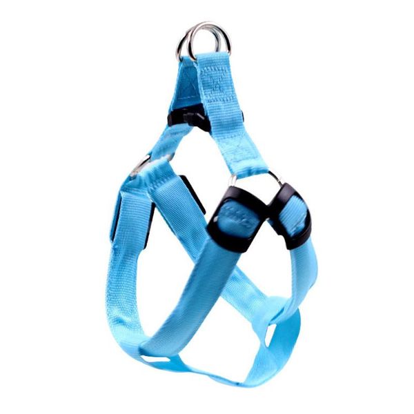 dog collars & leashes pet led light leash harness chest straps luminous adjustable safety nylon strap
dog collars & leashes pet led light leash harness chest straps luminous adjustable safety nylon strap