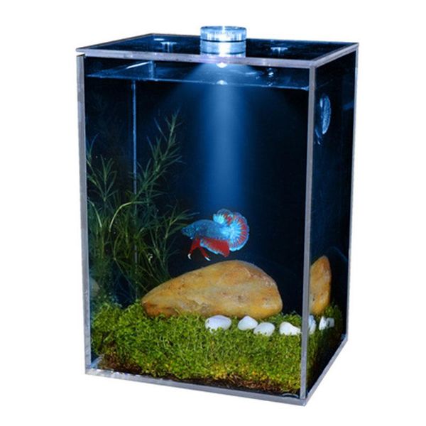 aquariums small ultra-transparent clear fish bowls square led tank aquarium heater with landscaping imitation water plant
aquariums small ultra-transparent clear fish bowls square led tank aquarium heater with landscaping imitation water plant