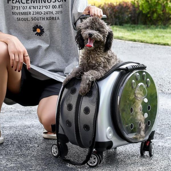 cat carriers,crates & houses fashionable outgoing portable and dog carrier bag multifunctional breathable dual-purpose pet backpack pull rod
cat carriers,crates & houses fashionable outgoing portable and dog carrier bag multifunctional breathable dual-purpose pet backpack pull rod