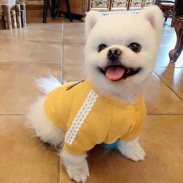 dog apparel hoodie autumn winter clothes puppy coat chihuahua cat yorkshire clothing poodle bichon schnauzer pomeranian pet outfit
dog apparel hoodie autumn winter clothes puppy coat chihuahua cat yorkshire clothing poodle bichon schnauzer pomeranian pet outfit