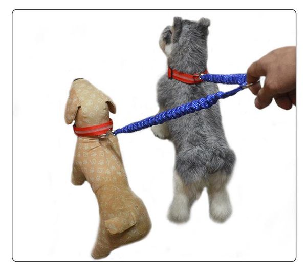 dog collars & leashes g13 fashion 2 heads pet traction leash outdoor safety buffer two glow dogs cats drawing leads for chihuahua
dog collars & leashes g13 fashion 2 heads pet traction leash outdoor safety buffer two glow dogs cats drawing leads for chihuahua