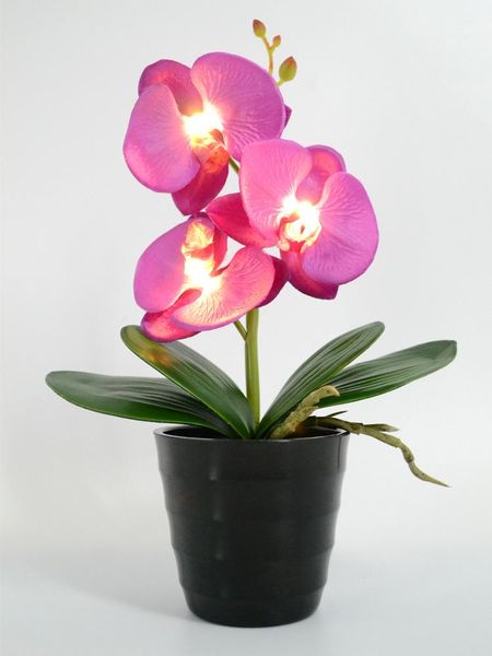 decorative flowers & wreaths 3 led battery lighted blossom phalaenopsis orchid in pot flower bonsai holiday wedding partyhome decoration bir
decorative flowers & wreaths 3 led battery lighted blossom phalaenopsis orchid in pot flower bonsai holiday wedding partyhome decoration bir