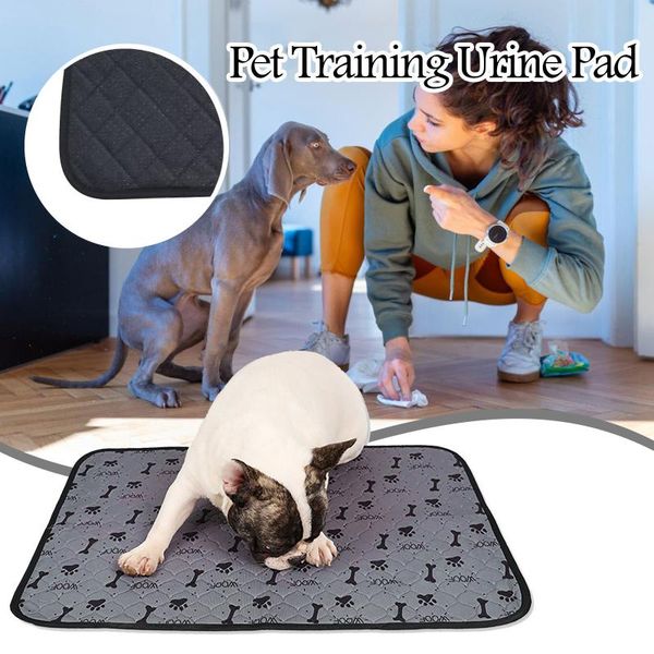 kennels & pens pet dog training pad can be reused fast water absorbent washable urine accessories for small dogs cats products
kennels & pens pet dog training pad can be reused fast water absorbent washable urine accessories for small dogs cats products