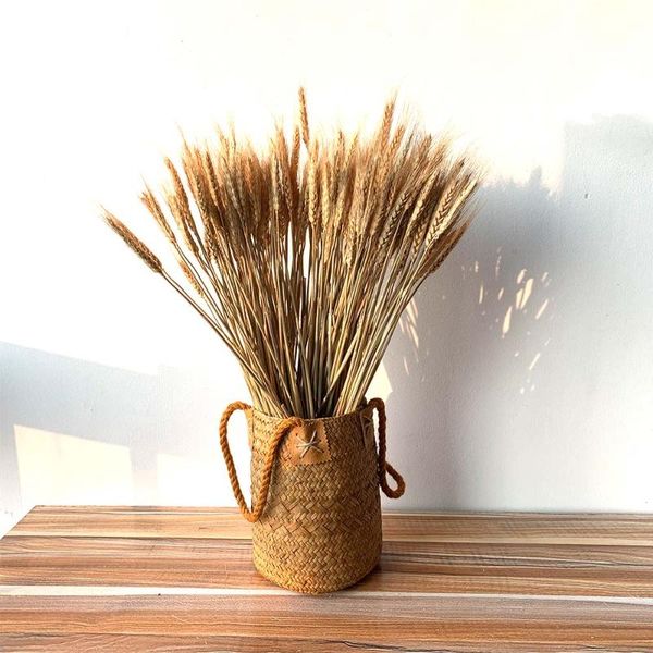 decorative flowers & wreaths 50pcs/lot real wheat ear flower include hand woven basket natural dried wedding home decoration bouquet
decorative flowers & wreaths 50pcs/lot real wheat ear flower include hand woven basket natural dried wedding home decoration bouquet