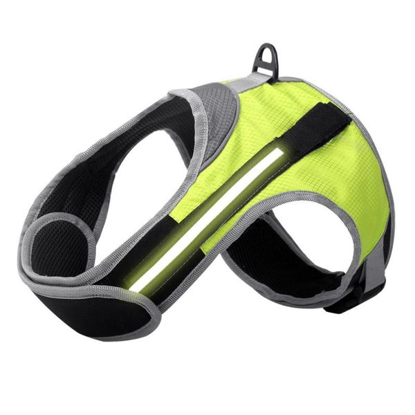 2021 arrival dog chest strap night travel pet supplies collars & leashes