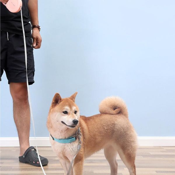 dog collars & leashes retractable towing rope convenient handle nylon traction automatic belt 5 meters for dogs
dog collars & leashes retractable towing rope convenient handle nylon traction automatic belt 5 meters for dogs