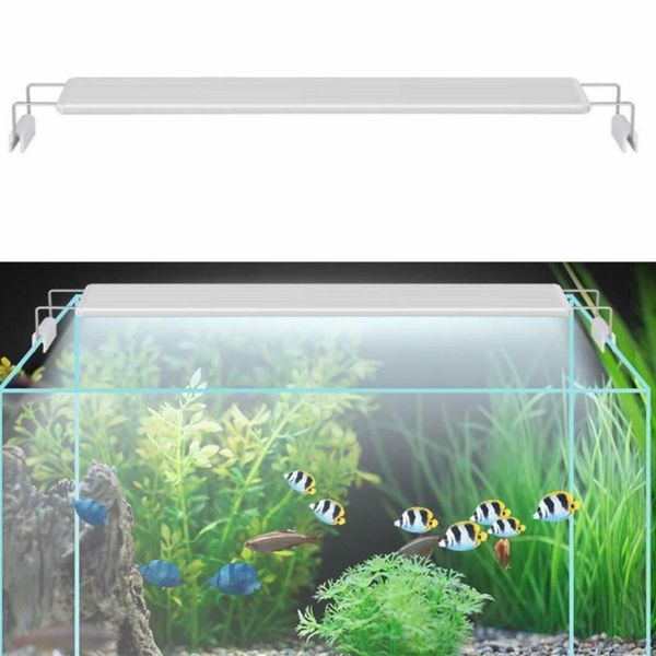 aquariums lighting 5730smd light beads * 4 row of white & blue fish tank led adjustable stainless steel bracket fit to 5-8mm thick glass
aquariums lighting 5730smd light beads * 4 row of white & blue fish tank led adjustable stainless steel bracket fit to 5-8mm thick glass