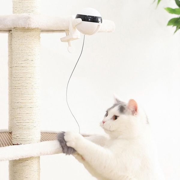 cat toys self playing toy teaser automatic lifting electric ball with fluffy htq99
cat toys self playing toy teaser automatic lifting electric ball with fluffy htq99