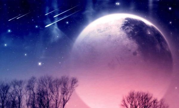 wallpapers fantasy night sky ceiling mural murals wall art painting living room bedroom ceilings
wallpapers fantasy night sky ceiling mural murals wall art painting living room bedroom ceilings