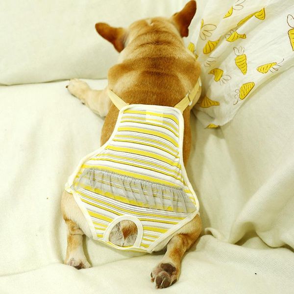 dog apparel cute stripe female pet sanitary physiological pants panties short cat small trousers underwear diaper
dog apparel cute stripe female pet sanitary physiological pants panties short cat small trousers underwear diaper