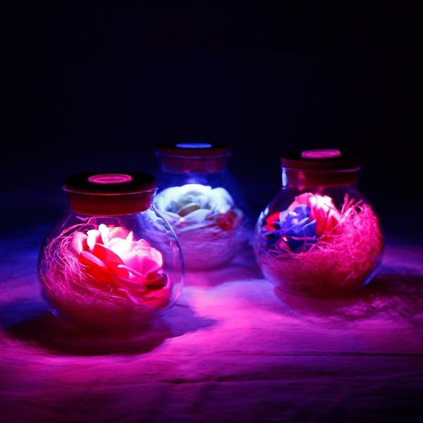 decorative flowers & wreaths soap rose led flower plastic bottles wedding artificial valentines day mothers christmas gift 2021
decorative flowers & wreaths soap rose led flower plastic bottles wedding artificial valentines day mothers christmas gift 2021