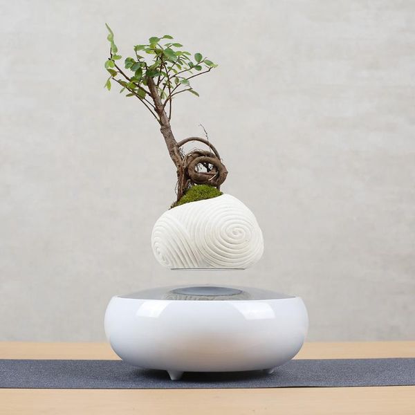 home decor air bonsai pot flower planters magnetic suspension floating vase bathroom decoration accessories vases
home decor air bonsai pot flower planters magnetic suspension floating vase bathroom decoration accessories vases