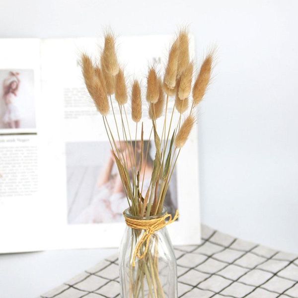 decorative flowers & wreaths 20pcs natural dried white tails artificial colorful fake tail grass bouquet long bunches plant pas
decorative flowers & wreaths 20pcs natural dried white tails artificial colorful fake tail grass bouquet long bunches plant pas