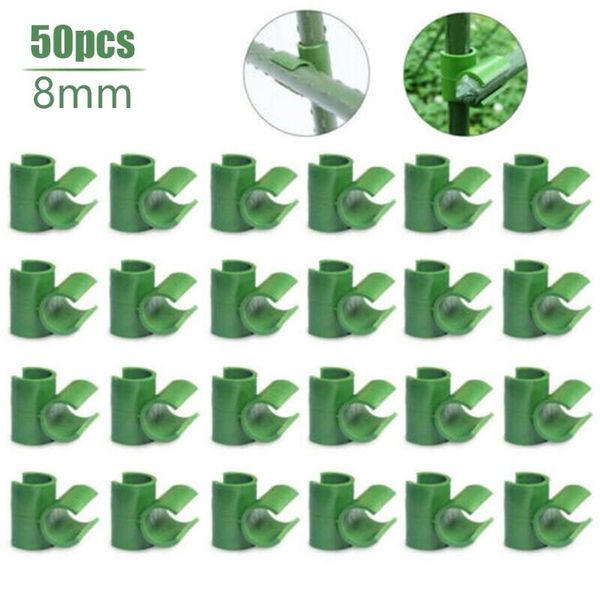 other garden supplies 50pcs/packs bamboo cane flexi balls fruit cage netting connectors green pp plastic plants supports
other garden supplies 50pcs/packs bamboo cane flexi balls fruit cage netting connectors green pp plastic plants supports
