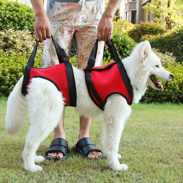 dog lift harness nylon pet lifting support vest adjustable for old injured large dogs with handle apparel
dog lift harness nylon pet lifting support vest adjustable for old injured large dogs with handle apparel