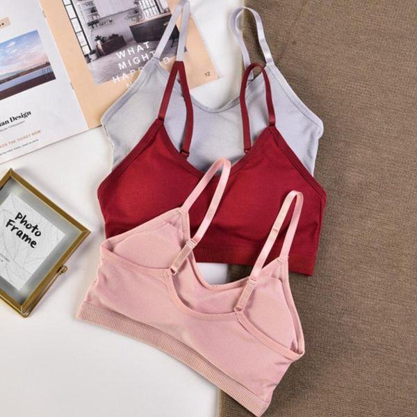 bras women push up bra fitness brassiere bralette cotton solid female tube underwear for bralet, Red;black
bras women push up bra fitness brassiere bralette cotton solid female tube underwear for bralet, Red;black