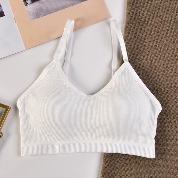 bras women lace bralette wireless solid color push up padded seamless underwear deep v girls bra lingerie 2021 sell, Red;black
bras women lace bralette wireless solid color push up padded seamless underwear deep v girls bra lingerie 2021 sell, Red;black