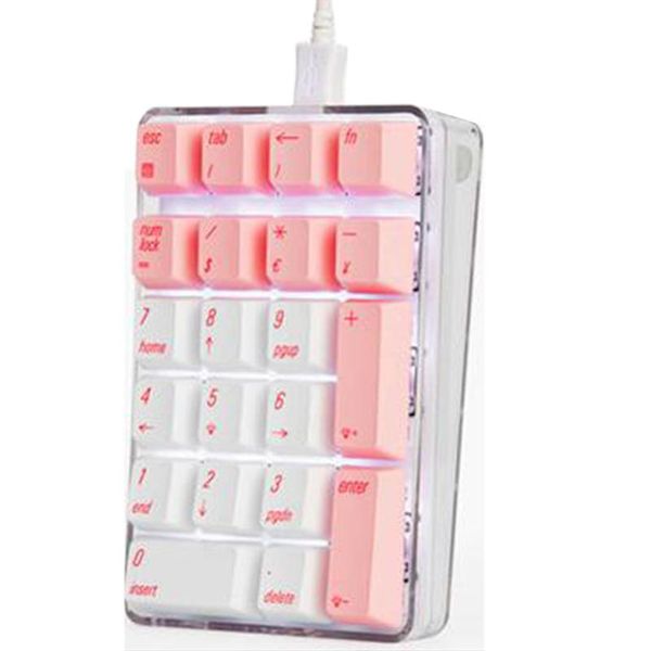 crystal 21 key usb wired digital mechanical keypad external financial keyboard for gateron axis keyboards
crystal 21 key usb wired digital mechanical keypad external financial keyboard for gateron axis keyboards