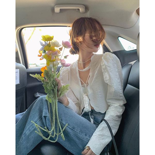 women's jackets baishui white pleated shirt summer thin sunscreen design bubble sleeve short chic v-neck top, Black;brown
women's jackets baishui white pleated shirt summer thin sunscreen design bubble sleeve short chic v-neck top, Black;brown