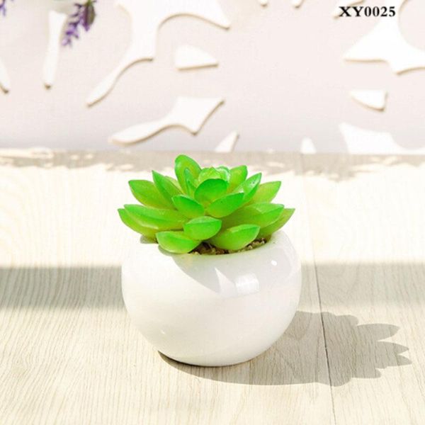 decorative flowers & wreaths artificial potted plant mini optional color home room office decoration
decorative flowers & wreaths artificial potted plant mini optional color home room office decoration