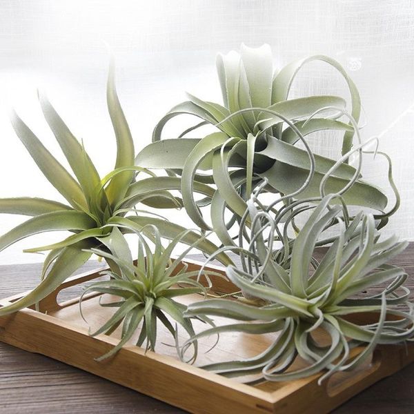 decorative flowers & wreaths simulated succulent plant hairy pineapple air grass home decoration fake flower pot artificial plants
decorative flowers & wreaths simulated succulent plant hairy pineapple air grass home decoration fake flower pot artificial plants