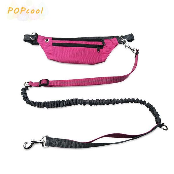 dog collars & leashes upgrade pet running leash leads harnesses waist jogging walking waterproof pockets belt elastic supplies
dog collars & leashes upgrade pet running leash leads harnesses waist jogging walking waterproof pockets belt elastic supplies