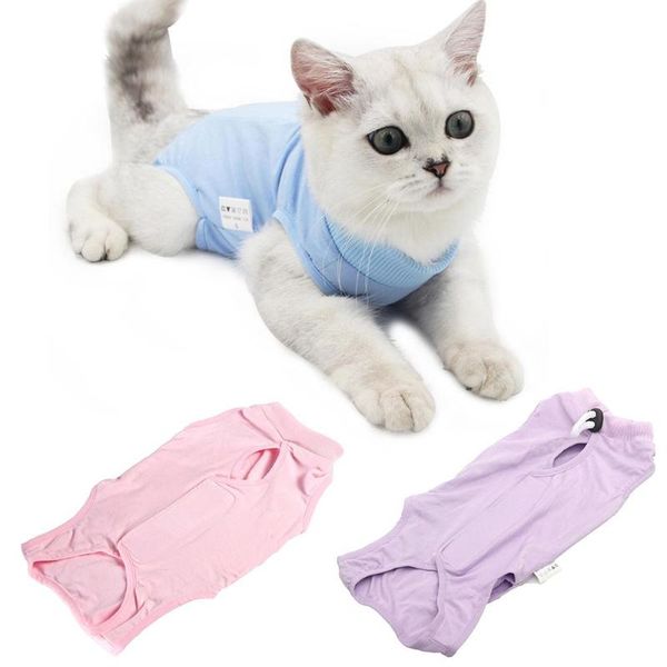 cat costumes pets kitten recovery weaning suit breathable elastic soft clothes vest coat 2021
cat costumes pets kitten recovery weaning suit breathable elastic soft clothes vest coat 2021