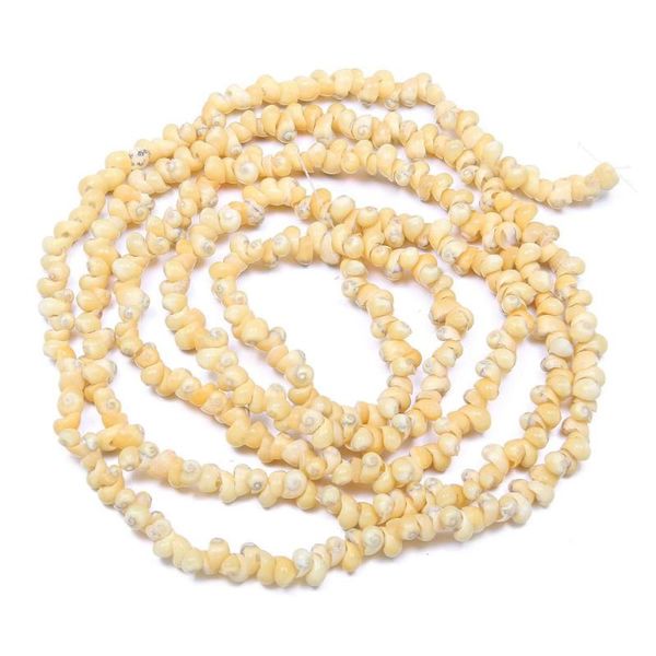 chains natural shell beaded snail shape craft beads for jewelry making diy bracelet necklace accessories fish landscape, Silver
chains natural shell beaded snail shape craft beads for jewelry making diy bracelet necklace accessories fish landscape, Silver
