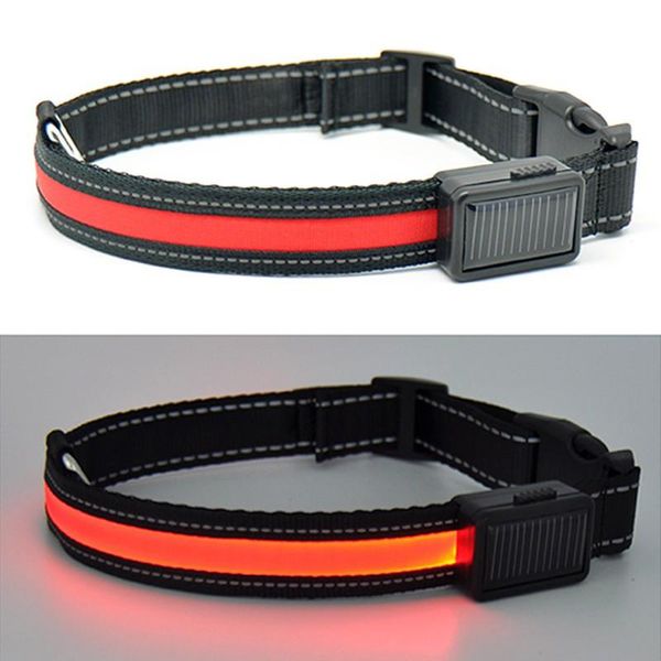 cat collars & leads pet led glowing collar usb rechargeable luminous flashing necklace outdoor walking dog night safety supplies
cat collars & leads pet led glowing collar usb rechargeable luminous flashing necklace outdoor walking dog night safety supplies