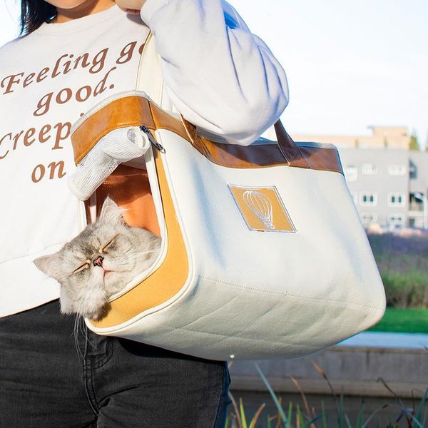 dog car seat covers breathable puppy cat handbag dogs carrier bag portable pu leather canvas pet single shoulder bags durable
dog car seat covers breathable puppy cat handbag dogs carrier bag portable pu leather canvas pet single shoulder bags durable