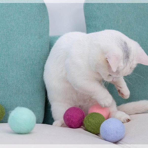 pet cat catnip toy ball funny training equipment handmade macaron wool gift box mint dog puppy teeth cleaning toys small animal supplies
pet cat catnip toy ball funny training equipment handmade macaron wool gift box mint dog puppy teeth cleaning toys small animal supplies