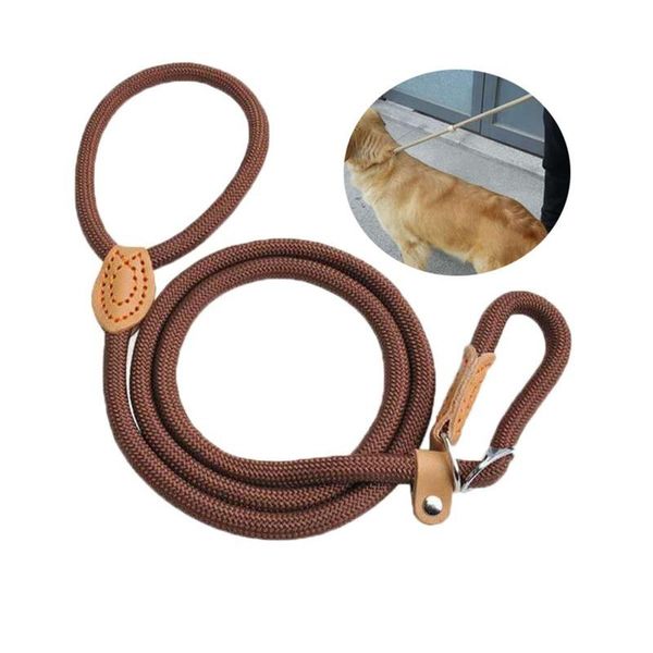 dog collars & leashes hysenss leash nylon pet lead adjustable harness durable rope belt lightweight supplies walking training
dog collars & leashes hysenss leash nylon pet lead adjustable harness durable rope belt lightweight supplies walking training