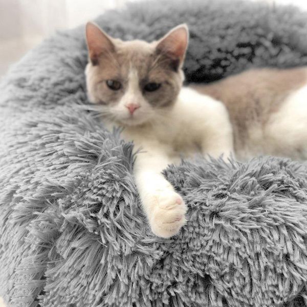 kennels & pens pet beds for dogs donut dog bed fluffy house cat cushion washable long plush kenne mat deken hond calming
kennels & pens pet beds for dogs donut dog bed fluffy house cat cushion washable long plush kenne mat deken hond calming
